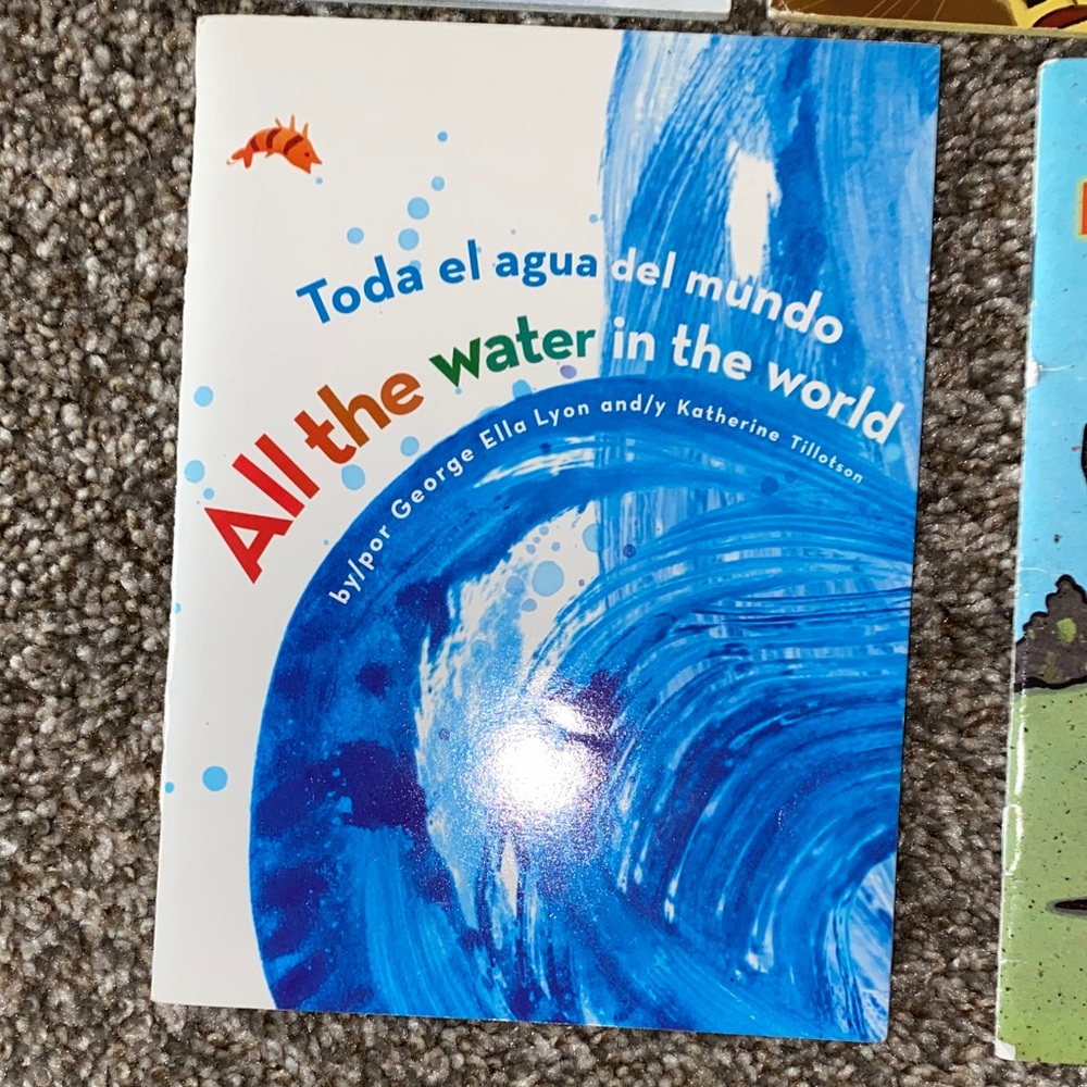📚🖤 Spanish and English Children Book Set - Picture 5 of 6